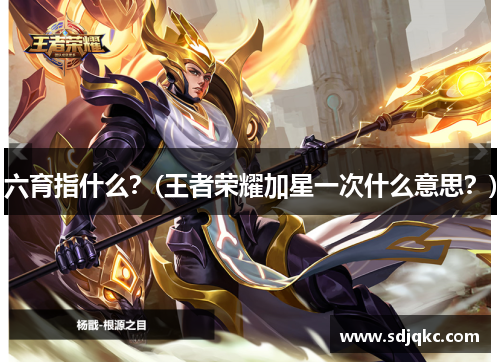 六育指什么？(王者荣耀加星一次什么意思？)
