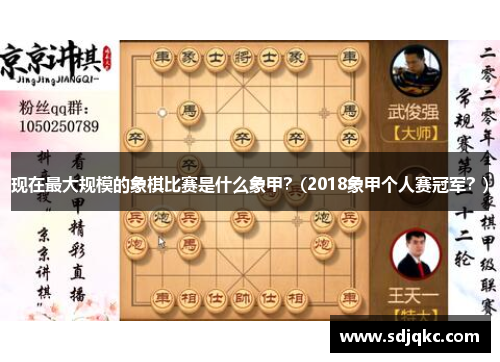 现在最大规模的象棋比赛是什么象甲？(2018象甲个人赛冠军？)